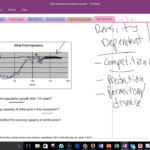 Answers Lab Population Ecology Graphs YouTube