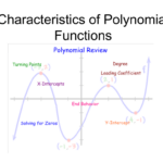 Characteristics Of Quadratic Functions New Worksheet Answers