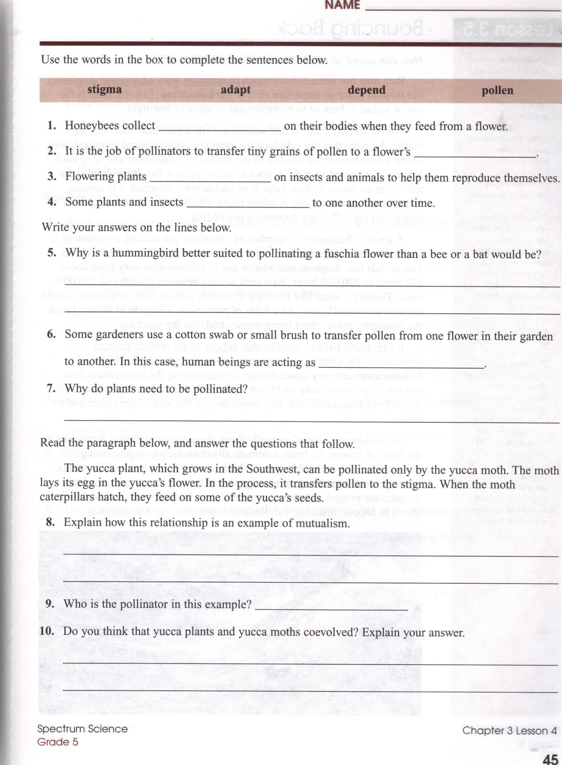 Ecosystem Worksheets Grade 7 Ecosystem Worksheets Worksheets For Ecosystem Worksheets Grade 7 Ecosystem Worksheets Worksheets For