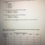 Enzyme Reactions Worksheet Answer Key Solved Enzyme Controlled React