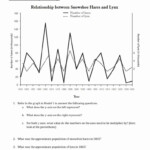 Predator Prey Graph Worksheet