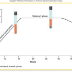 Bacterial Growth Curve And Its Significance