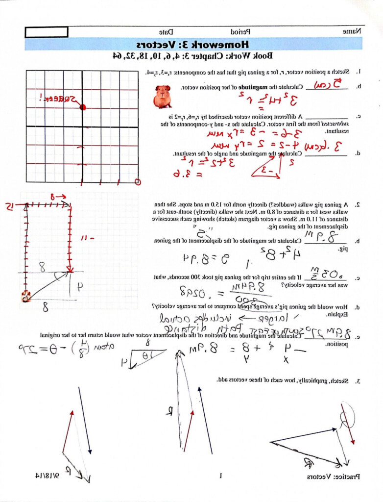 Slope Worksheet Answers Db excel